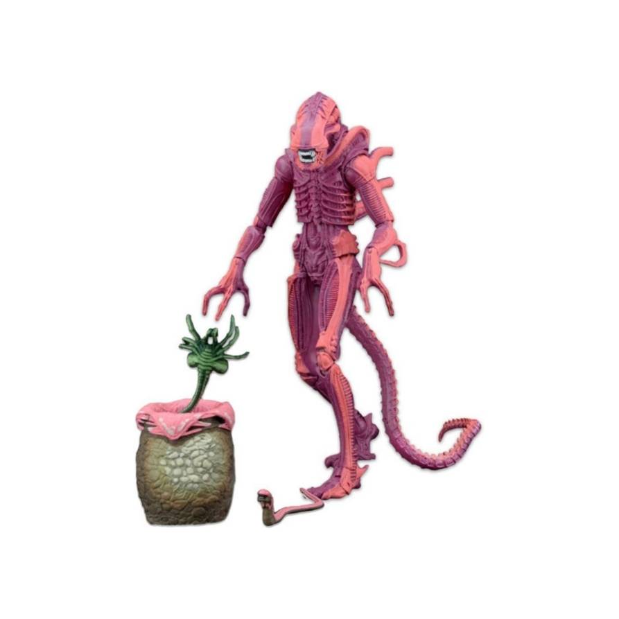 Aliens